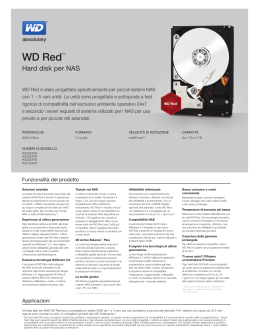 WD Red™ - Western Digital