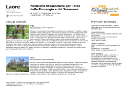 Notiziario fitosanitario per l`area della Romangia e del Sassarese