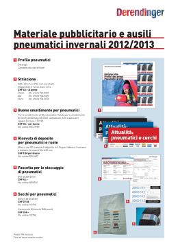 Materiale pubblicitario e ausili pneumatici invernali 2012/2013