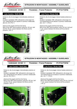 KAWASAKI ZX10R 11 Paratelaio – Frame Protector PT