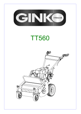 TT 560 - Ginko