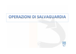 Salvaguardati report al 3112014