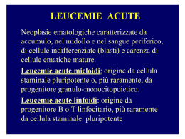 Leucemie acute mieloidi