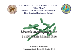 Listeria monocytogenes e sicurezza alimentare Staphylococcus
