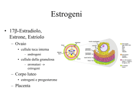 Estrogeni - Progestinici - Dipartimento di Farmacia