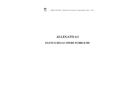 Bilancio2013_SchemaRPP_Allegato_4.1