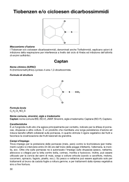 Tiobenzen e/o cicloesen dicarbossimmidi