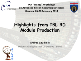 Highlights from IBL 3D Module Production