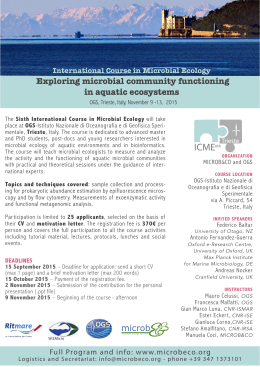 M&C ICME Trieste 2015 FV copy