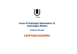CRIPTORCHIDISMO - Endocrinologia