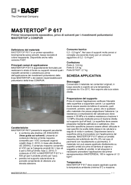 MASTERTOP P 617 - Mat-Edil