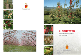 Manuale tecnico provincia Bergamo
