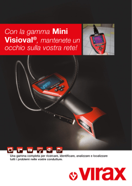 Videocamera digitale a colori Mini Visioval®_2941