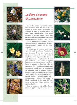 Flora e fauna a Lumezzane