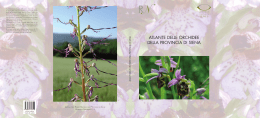 Atlante delle orchidee della Provincia di Siena (dimensione: 6Mb