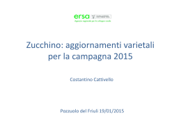 Zucchino: aggiornamenti varietali per la campagna 2015