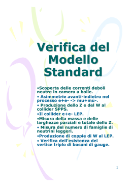 Verifica del Modello Standard
