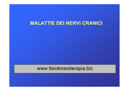 MALATTIE DEI NERVI CRANICI www.fisiokinesiterapia.biz