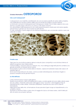 Scheda informativa OSTEOPOROSI Che cos`è l`osteoporosi