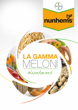 Meloni Nunhems