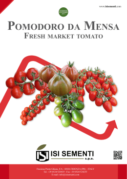 pomodoro da mensa fresh market tomato