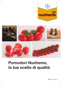Pomodori Nunhems, la tua scelta di qualità