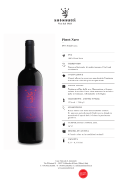 Pinot Nero — - Casa Vinicola Antonutti