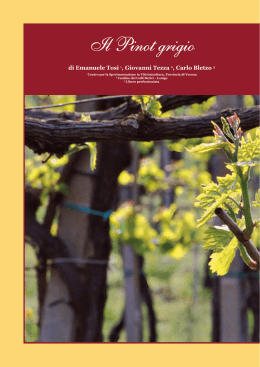 Il Pinot grigio - Provincia di Verona