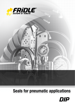 seals for pneumatic applications dip