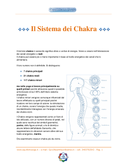 Il Sistema dei Chakra - Fonte: equilibrioyoga.it