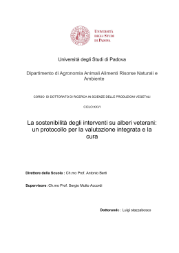 Documento PDF (Tesi di Dottorato in Scienze