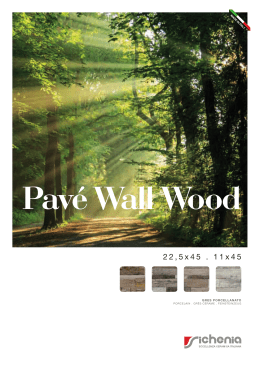 CAT.PAVÉ WALL WOOD (FMT 21X29) in f.to PDF