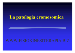 Cromosomiche - Fisiokinesiterapia