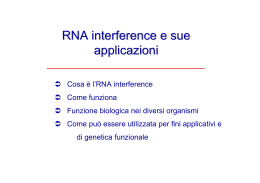 Che cosa è l` RNA interference?