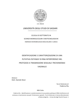 trichomonas vaginalis - Università degli Studi di Sassari