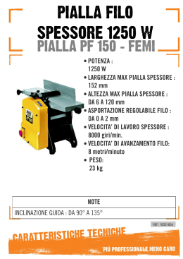 PIALLA FILO SPESSORE 1250 W