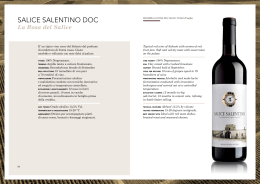 SALICE SALENTINO DOC - Stefano Farina wines