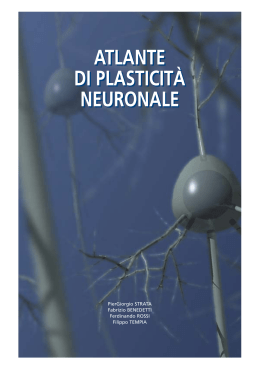 atlante di plasticità neuronale atlante di plasticità neuronale