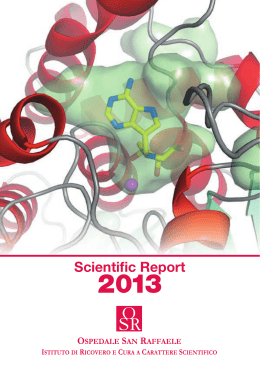 Scientific Report 2013 PDF file