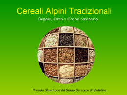 Cereali Alpini Tradizionali