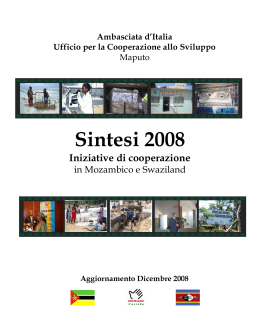Sintesi - Cooperazione Italiana allo Sviluppo