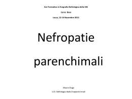 Nefropatie parenchimali - Iter Formativo in Nefrologia - Lecco 12