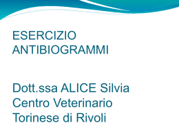 Dott.ssa ALICE Silvia Centro Veterinario Torinese di Rivoli