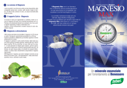 Magnesio Max