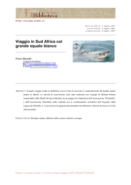Viaggio in Sud Africa col grande squalo bianco - Ulisse