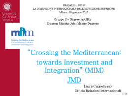 Crossing the Mediterranean: towards Investment and