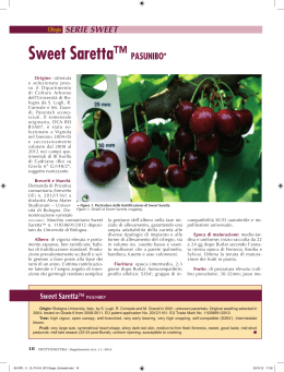 Sweet Saretta™ PA5UNIBO*