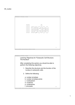 05_nucleo 1 1. Describe the structure and the function of the