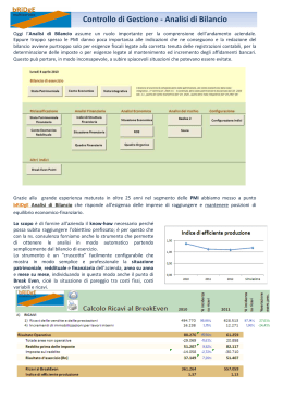 Analisi di Bilancio - Bridge Multiservice