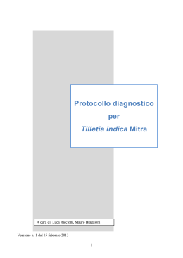 Protocollo diagnosi Tilletia indica